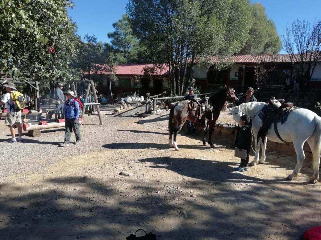 Rancho Cabanas San Isidro Cerocahuí Εξωτερικό φωτογραφία